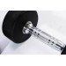 Гантели в уретане 5 кг Live Pro Studio Dumbbells LP8075-05 75_75