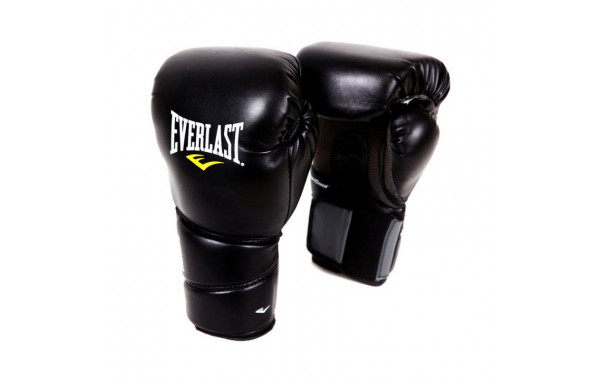 Перчатки тренировочные Everlast Protex2 10 oz LXL черный 3110LXLU 600_380