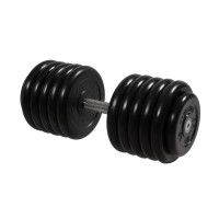 Гантель Профи с вращающейся ручкой, 56 кг MB Barbell MB-FdbM-B56