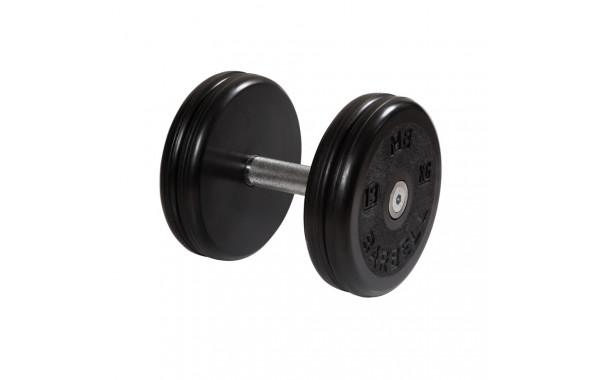 Гантель классик с вращающейся ручкой хром 19 кг MB Barbell MB-FdbEM-B19 600_380