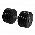 Гантель Профи, 41 кг MB Barbell MB-FdbM-B41 120_120